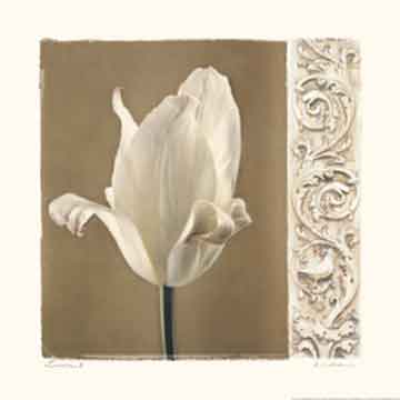 פרח לבן 2רומנטי עיצוב מודרני מינמליסטי שושן לבן צחור נקי